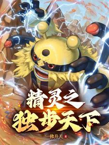 精灵宝可梦之登神长街书海阁